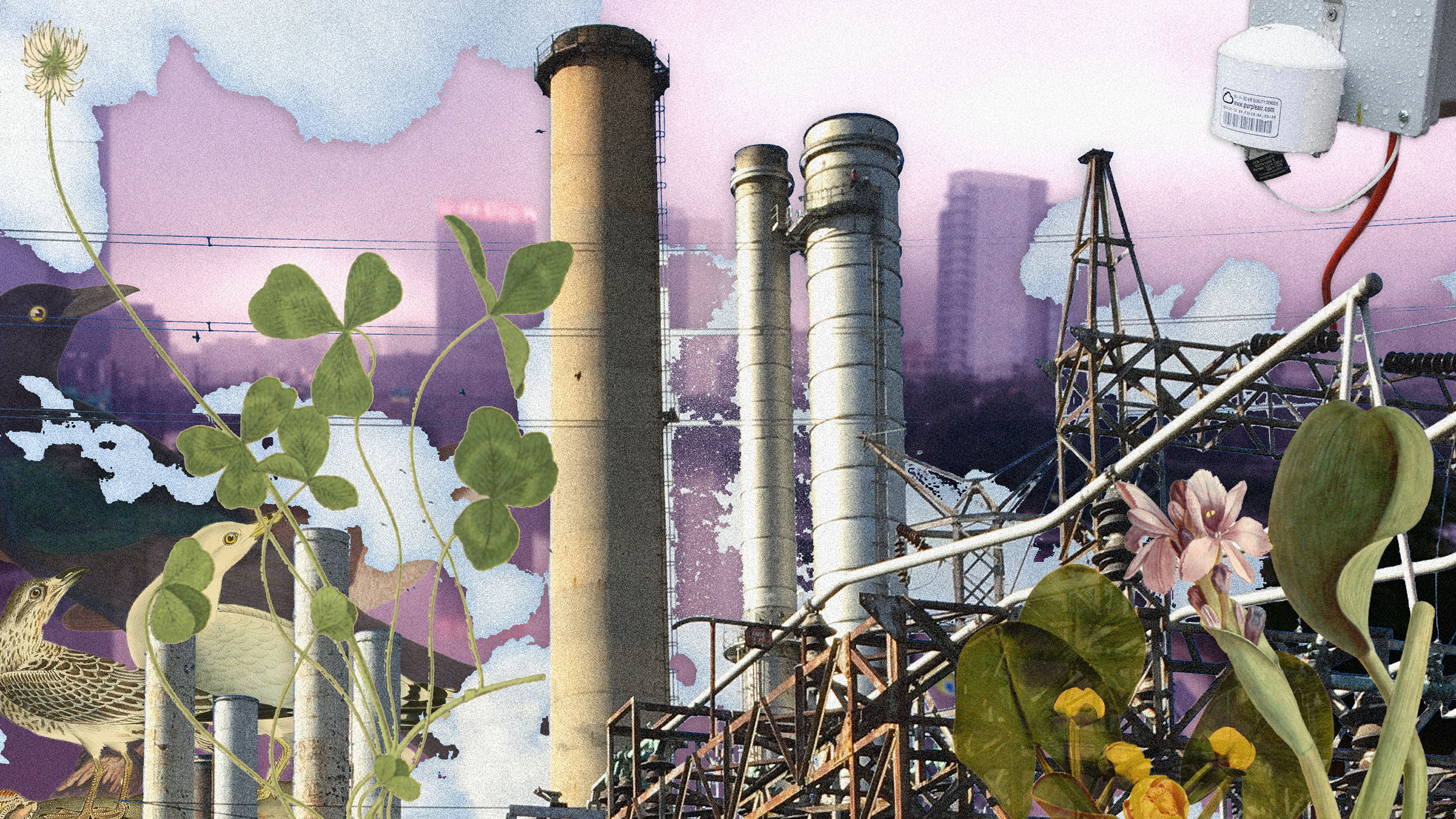Birds and botanicals in front of a refinery