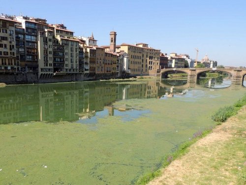 View of the Arno in between Ponte Vecchio and Ponte S. Trinita. From the website of the Italian newspaper La Repubblica, accessed 2017. Photo by Cge Fotogiornalismo.