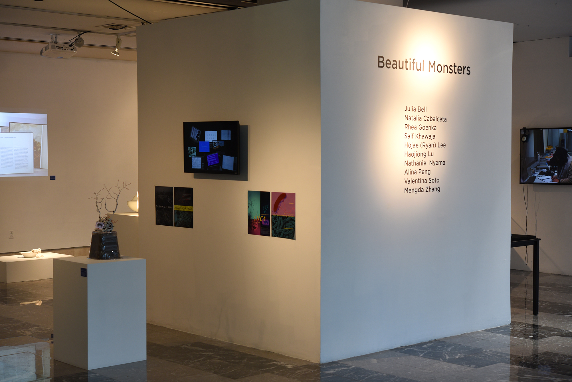 “Beautiful Monsters”exhibition at the Esther Klein Gallery showcasing the student work