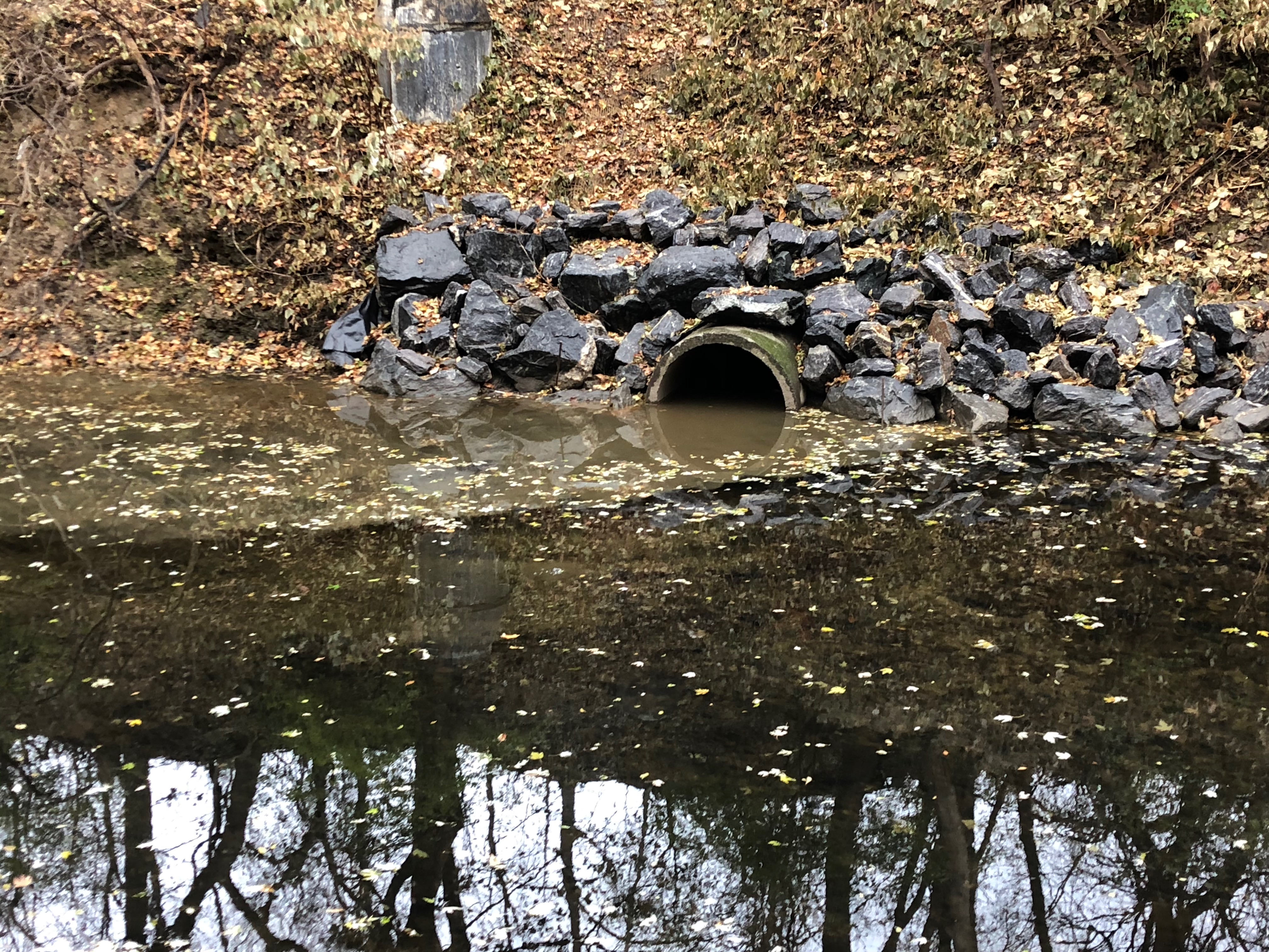 Outflow of a combined sewer on Cobbs Creek