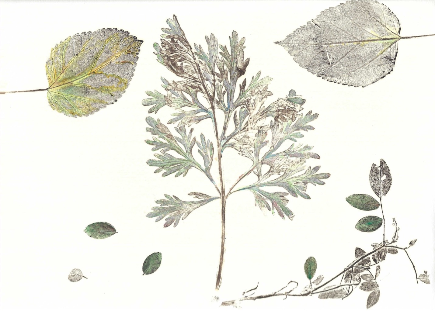 Botanical Prints 
