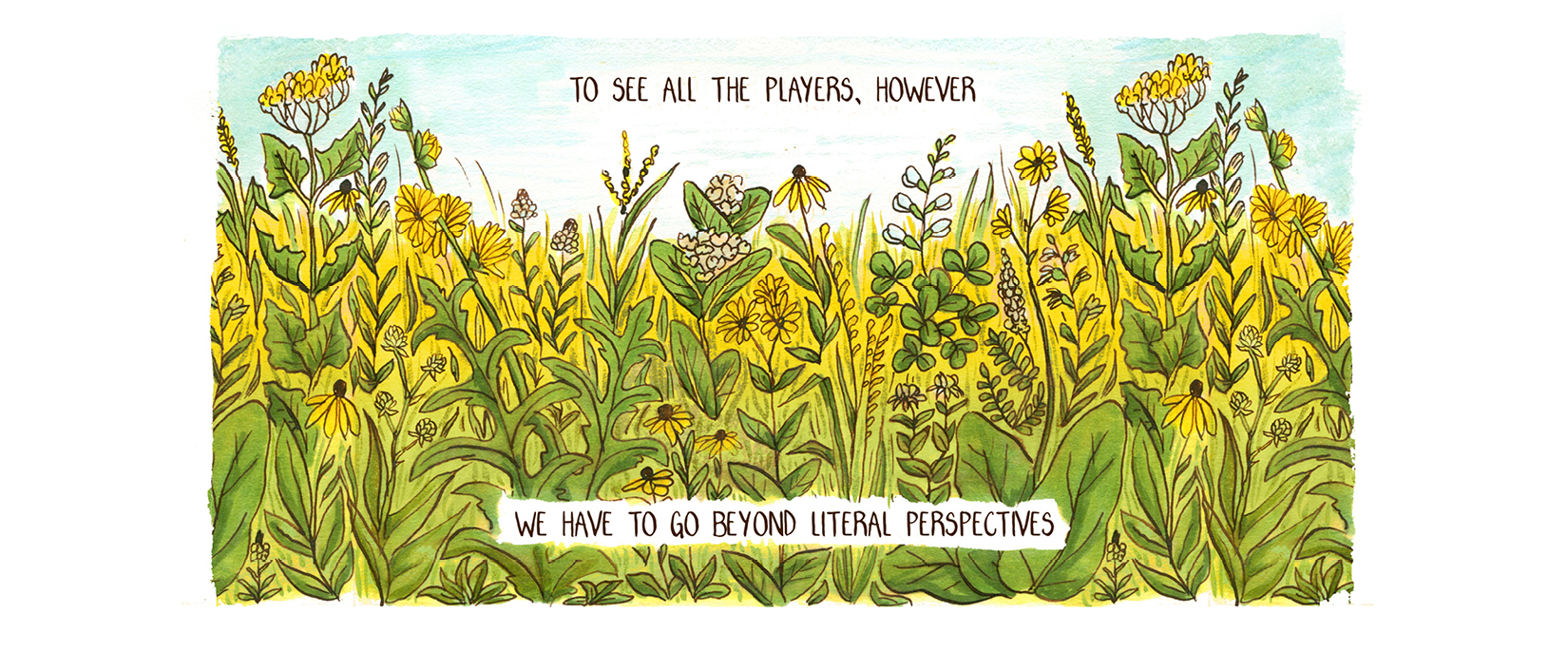 an exploded view of a prairie, where every single species is clearly, individually depicted instead of obscured by the plants around it. Around 25 species are depicted.