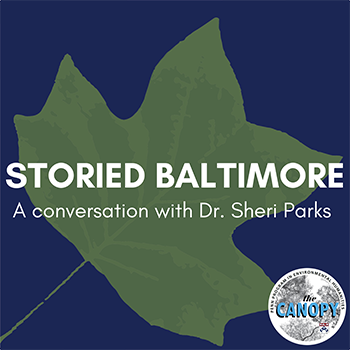 A tulip tree leaf with text Storied Baltimore: A conversation with Dr. Sheri Parks