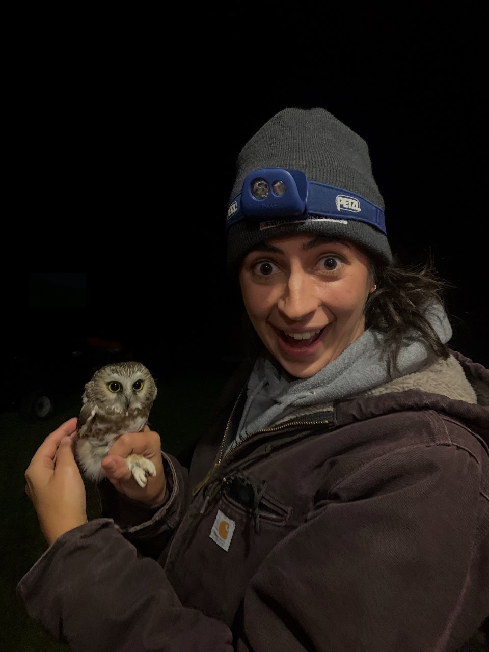 Mia Fox looks exhuberantly to the camera. On her head she is wearing a blue gray cap and headlamp and in her hands she holds a small owl, who is also looking to the camera.