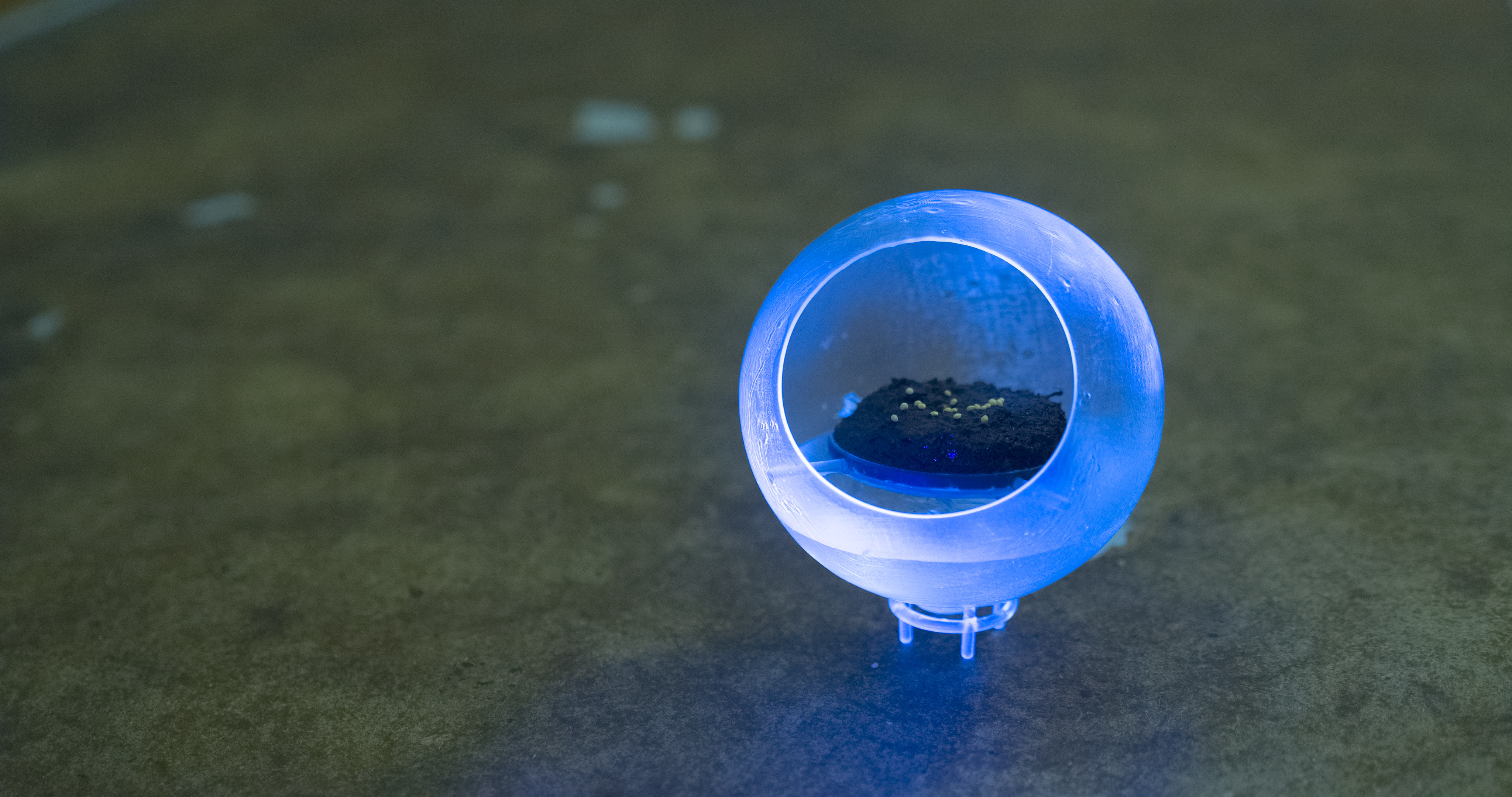 blue glowing transparent pod filled with dirt in a field