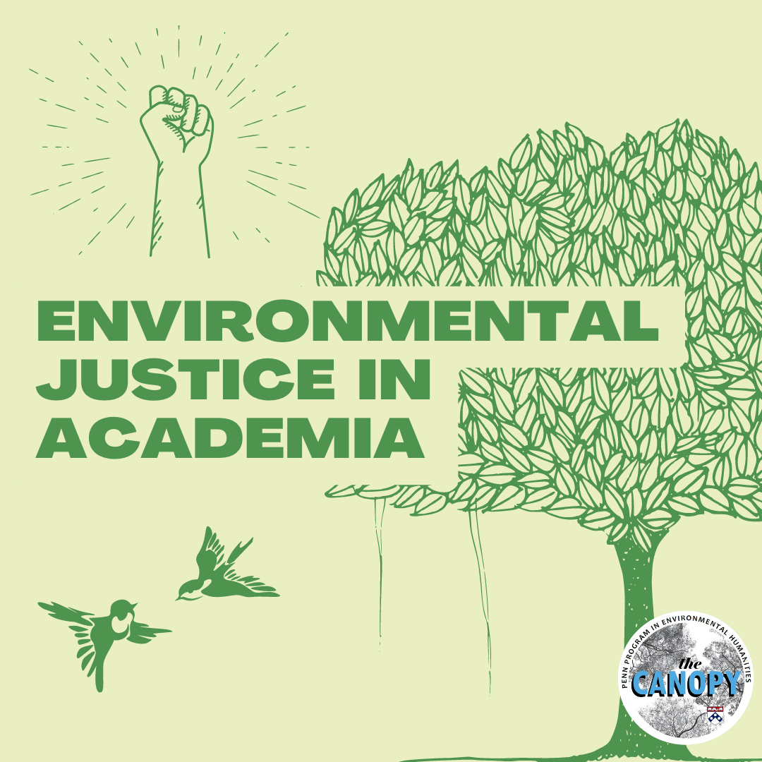 Tree, activist fist, and birds flying in thumbnail for Environmental Justice in Academia 