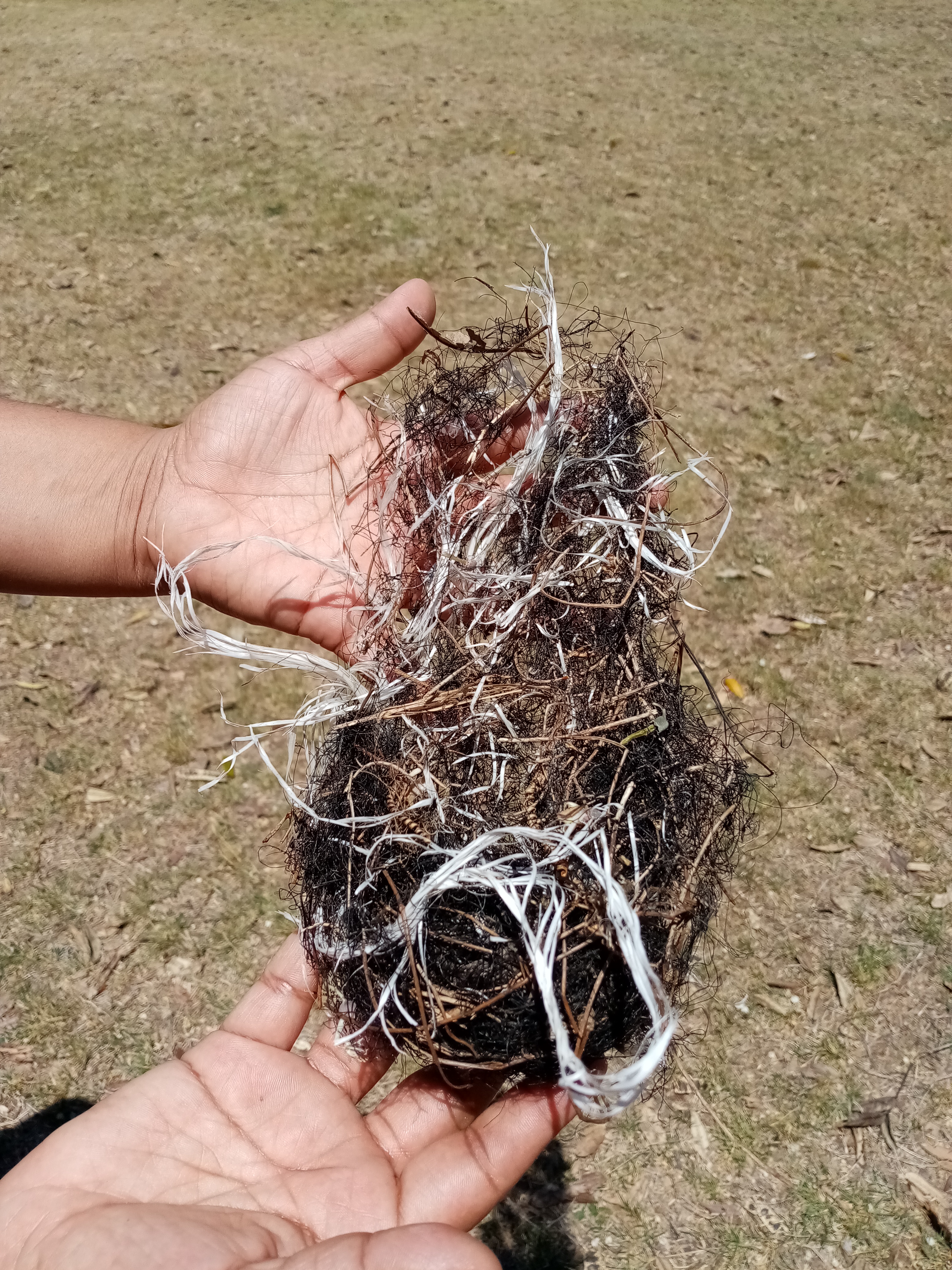 Human hands holding birds nest made of trash