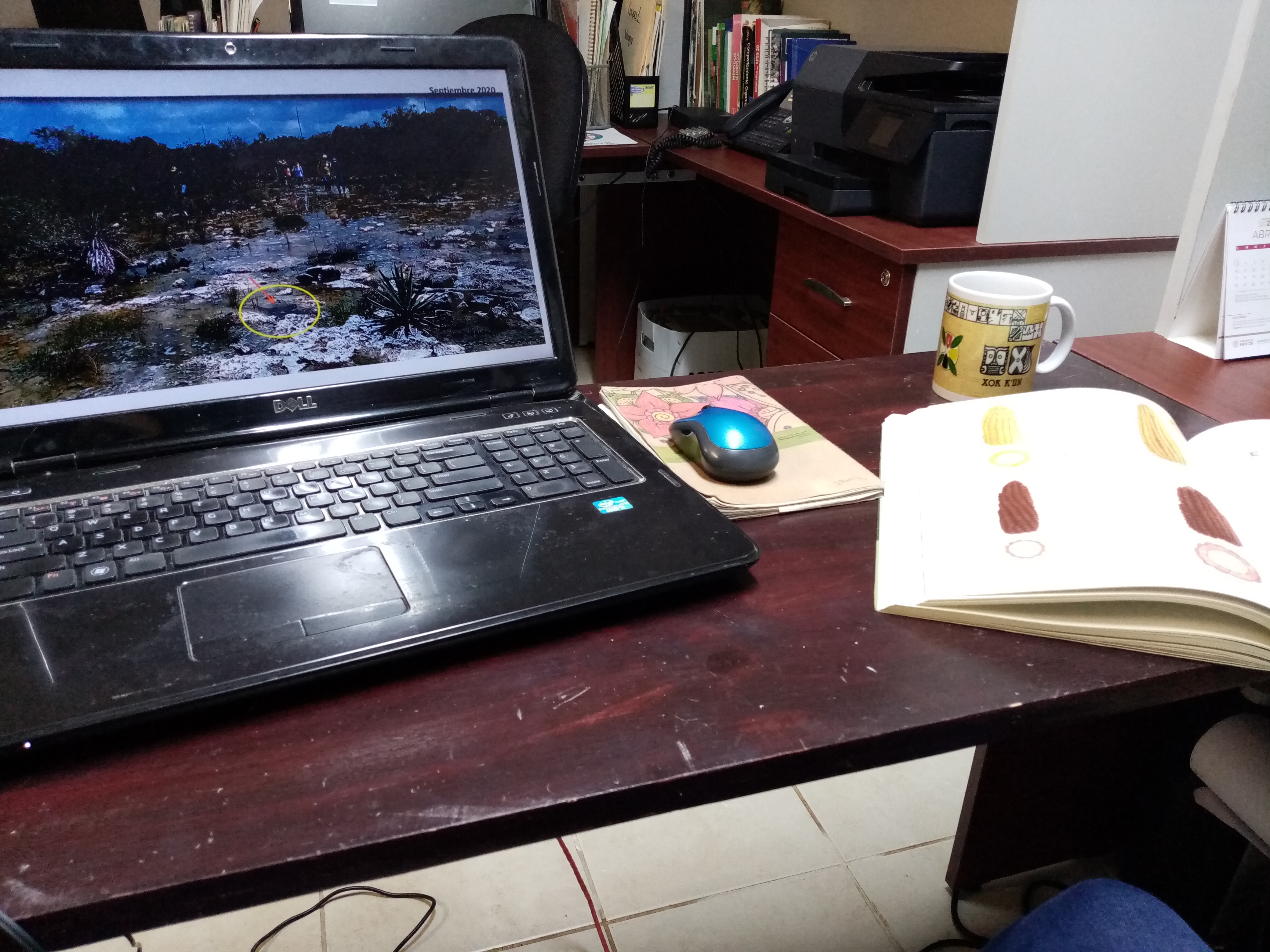 Studying a stream on a laptop