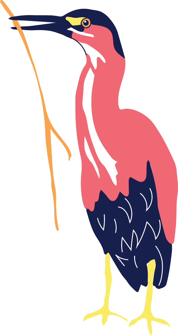 A colorful illustration of a green heron holding a stick to use as a fishing tool.