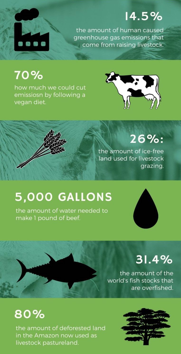 An infographic about how a plant based diet fights climate change.