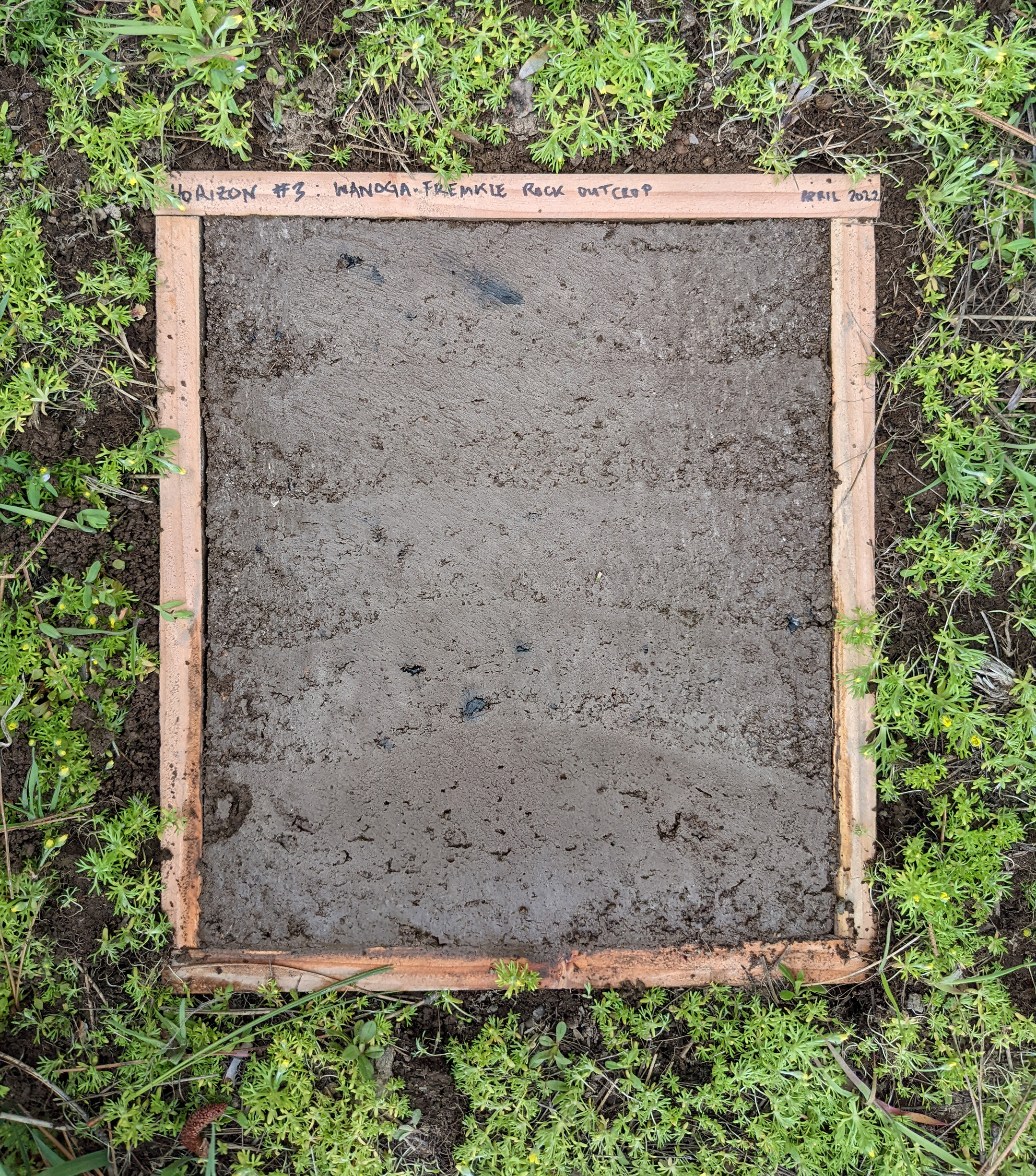 A wood frame surrounds a sample of soil, marking it off from the rest of the ground surrounding it.