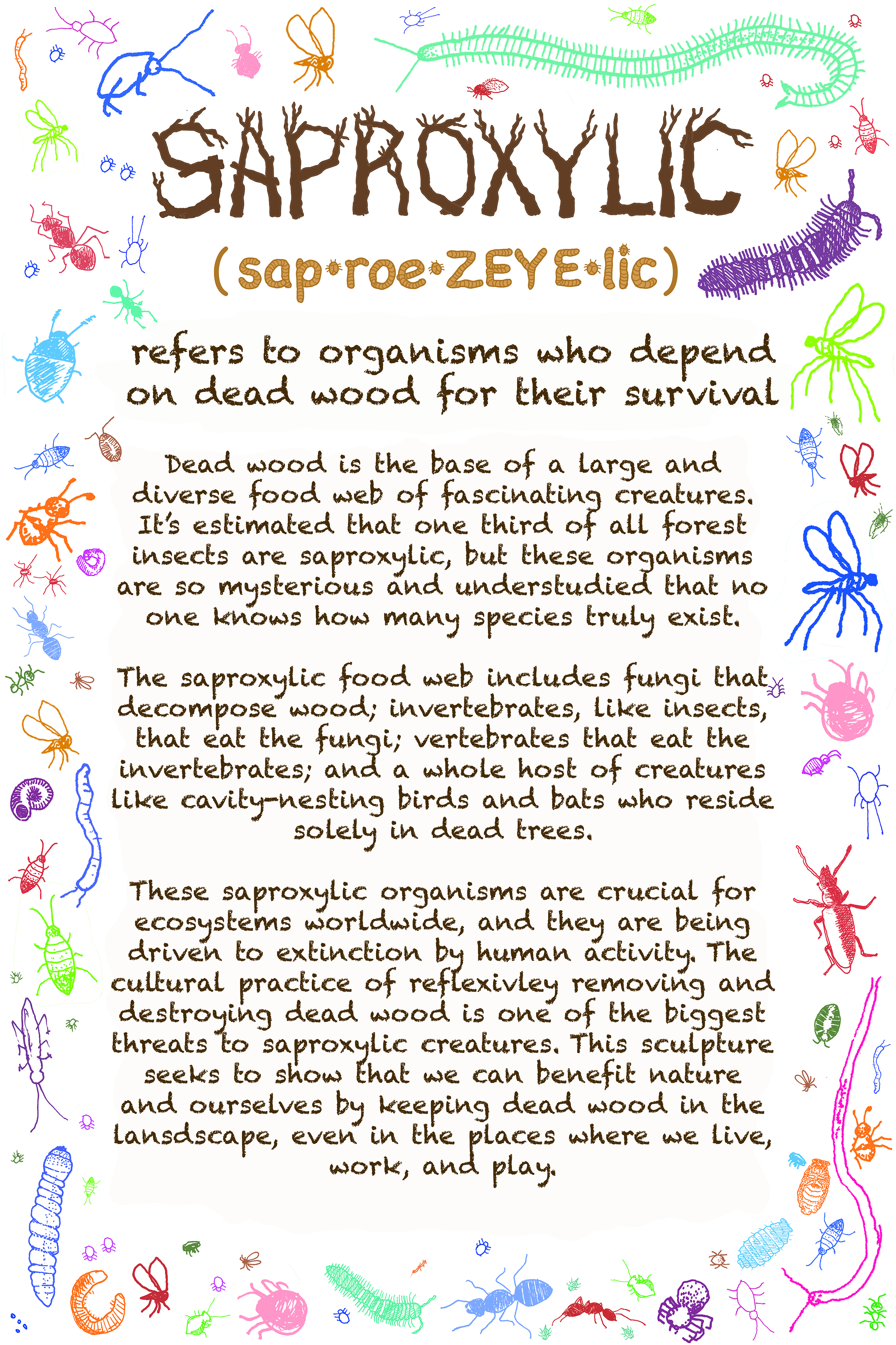 Flyer about saproxylic creatures.