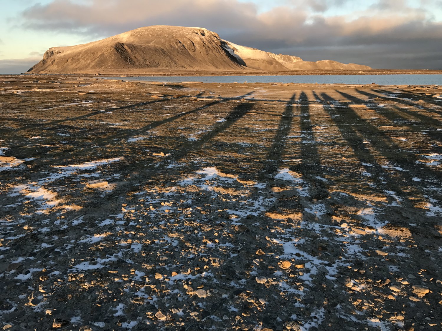 Art in Arctic Fields