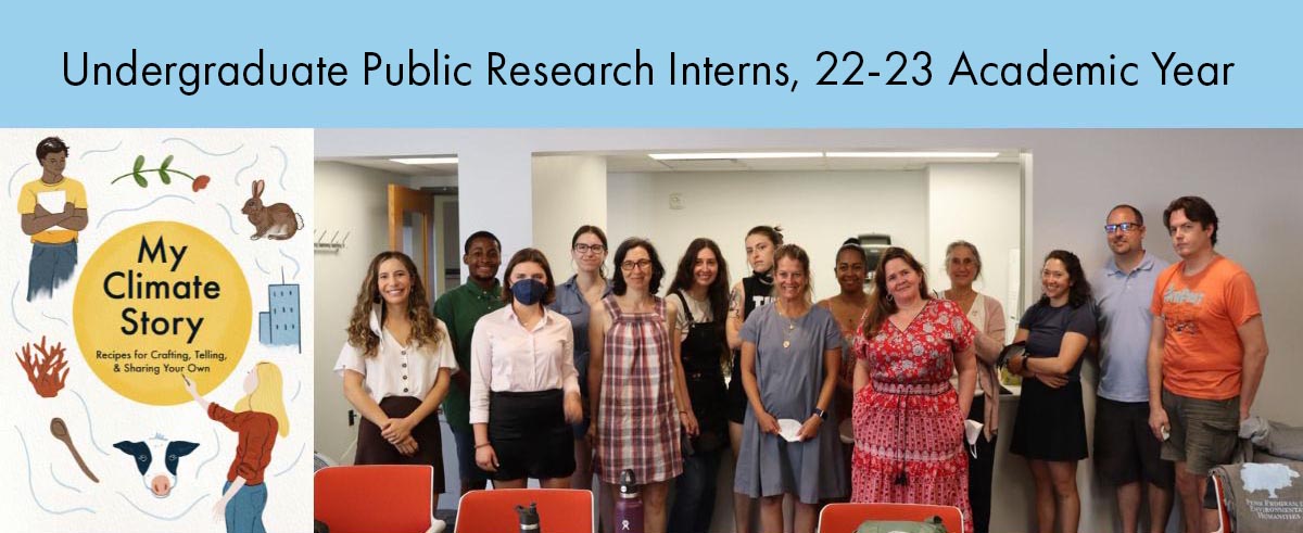 Call for Undergraduate Public Research Interns