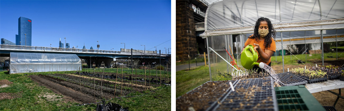 left side is a view of Penn Farm on a clear blue day, on the right is a portrait of Lila Bhide wearing a mask and watering seedlings with a watering can 