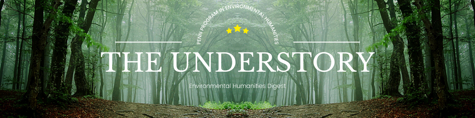 Header image of view of lush green forest from the floor, text of The Understory Environmental Humanities Digest