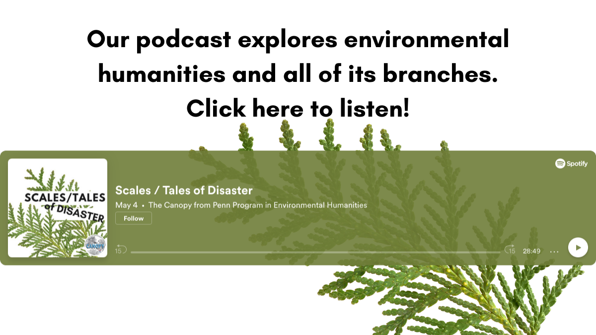 Click here to hear the new episode of our podcast, The Canopy!