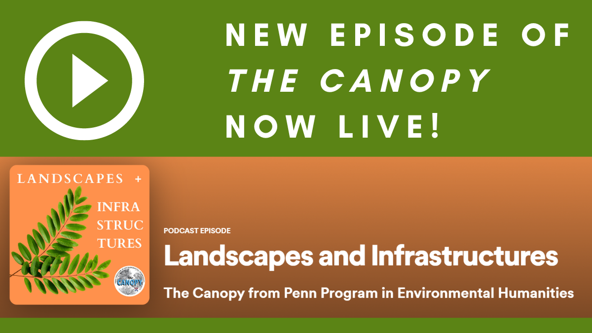 New episode of the Canopy podcast now live! Click here to listen.