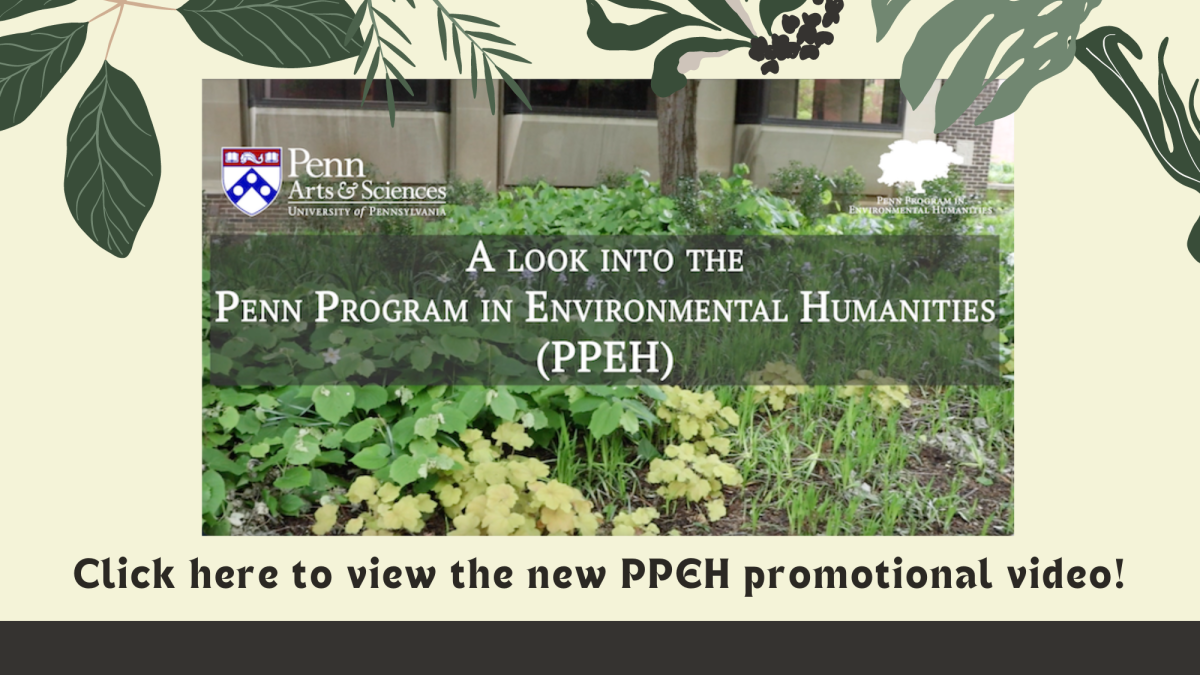 Click here to view the new PPEH promotional video.
