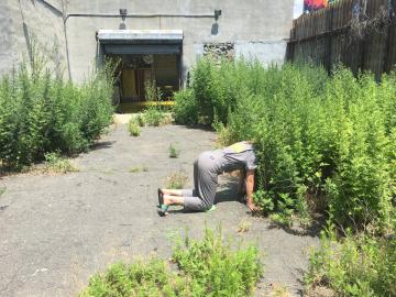 Embodied scientist exploration at Environmental Performance Agency Headquarters, Crown Heights, Brooklyn, July 2017. Photo credit Catherine Grau/Environmental Performance Agency